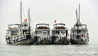 Hoa Binh tour boats, Ha Long Bay, Vietnam  
