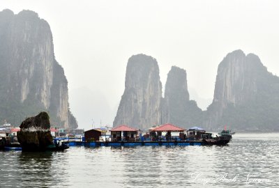 floating village, Dau Go Island, Ha Long Bay, Vietnam 