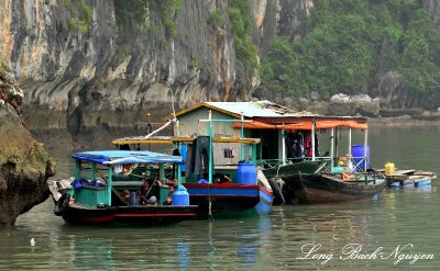 floating home, floating village, Dau Go Island, Ha Long Bay, Vietnam  