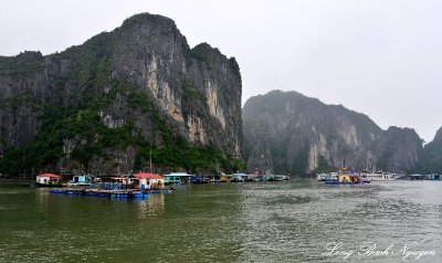 Cua Van Floating Village, Dau Go Island, Ha Long Bay, Vietnam 