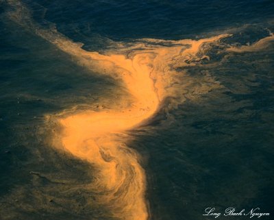 Red tide ghost  
