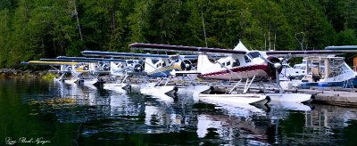 Beaver Owners  Pilot Association, Eaglenook Resort, Vancouver Island, BC, Canada 