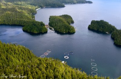 Eagle Nook Resort, Beaver Owners Association, Jane Bay, Vancouver Island, Canada 