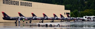 Patriots, Aerial Demonstration Team, Boeing Field, Seatte  