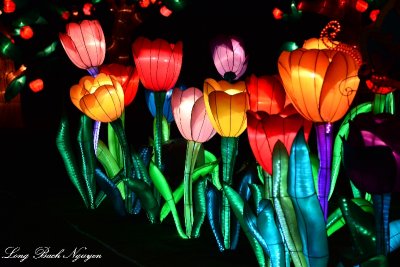 Tulips and Apples, Luminasia Lantern Festival, WA State Fair, Puyallup, Washington  