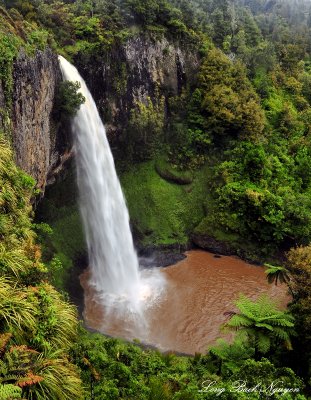 Bridal Veil Falls, Waikato, New Zealand  