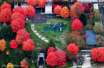 playground, Mt Baker Ridge Viewpoint Park, Seattle, Washington  