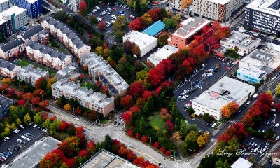 fall colors over University District Seattle   
