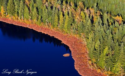 fall on lake  