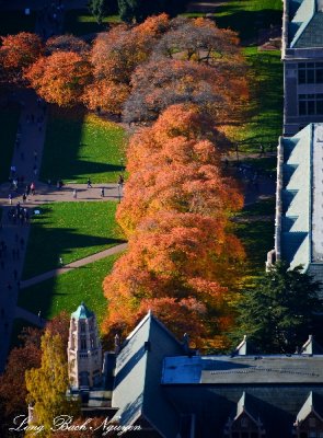 Fall at University of Washington Seattle 