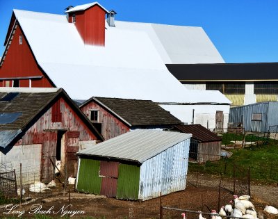 barn of all shapes and sizes  
