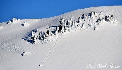 Heavy snow, Mt Index, Cascade Mountains, Washington  