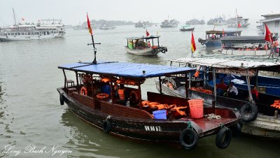 Ha Long Bay, tour boats and transfer boats, Vietnam  