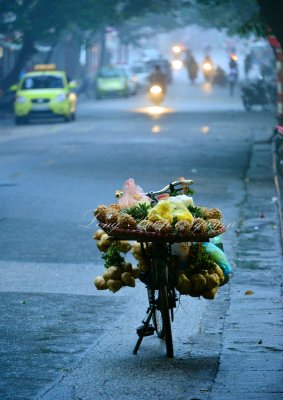 selling fruits on bike, Hanoi, Vietnam 