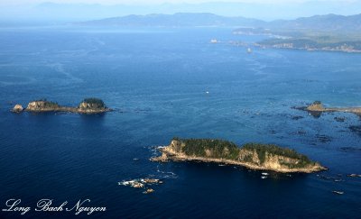 Ozette Island, Bodelteh Islands, Takawahay Island, Neah Bay, Olympic National Park, Washington