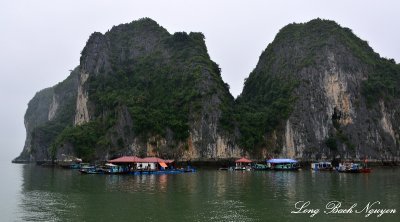 Cua Van Floating Village, Dau Go Island, Ha Long Bay, Vietnam  