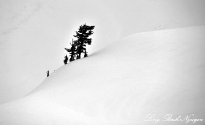 Expedition Leader, Lemah Mountain, Cascade Mountains, Washington 