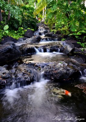 small waterfalls, Fairmont Orchid, Hawaii 