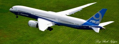 N789FT, Boeing 787-9 Dreamliner, Georgetown, Seattle, Washington  