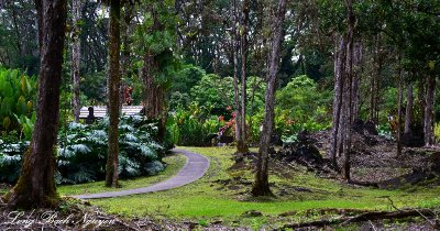 Lava Tree State Monument, Pahoa, Hawaii 