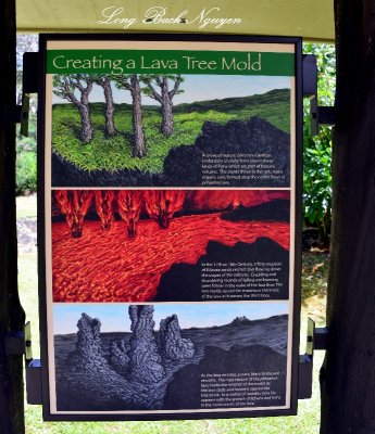 Lava Tree Mold, Lava Tree Monument, Pahoa, Hawaii  