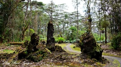 Lava Tree State Monument, Pahoa, Hawaii  