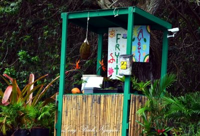 Hi Tech Fruit Stand, Kaloko Drive, Kaloko, Big Island, Hawaii 