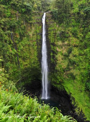 Akaka Falls, Honomu, Big Island, Hawaii 