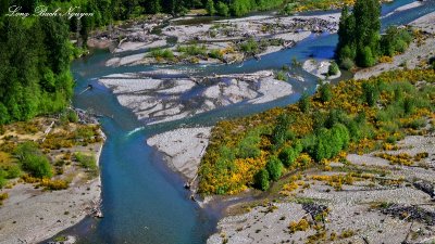 Cowlitz River Packwood Washington