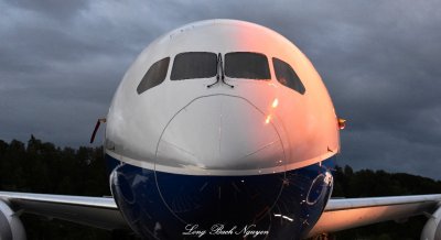 Face of New Boeing, Boeing 787-9, Museum of Flight, Seattle, Washington 