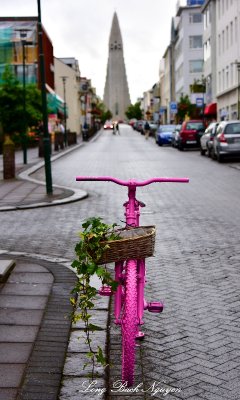 pink bike 