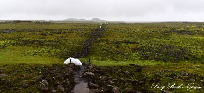 Hike to Thrihnukagigur volcano, Inside the Volcano Tour, Iceland 
