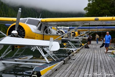 DHC-2 Beavers leaving for Nahmint Lake Vancouver Island Canada  