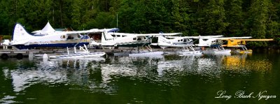 DHC-2 Beaver Floatplanes at Eagle Nook Resort Vancouver Island Canada  