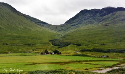 Green Valley Scottish Highland UK 