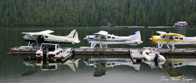 Beaver Floatplanes Eagle Nook Resort Vancouver Island Canada  