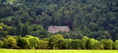 Castle in wood Scotland UK  