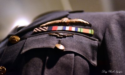 RAF Wings and Badge  