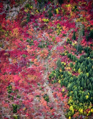 Fall in Eastern Washington 