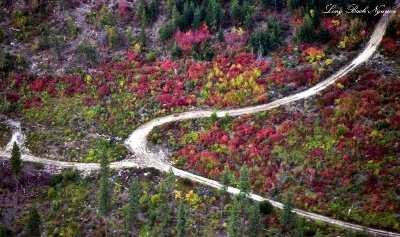 Fall on mountain road  
