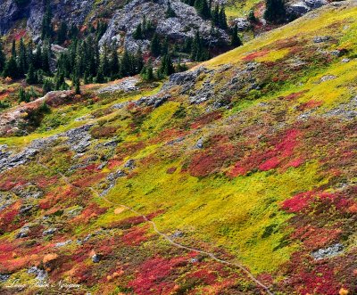 Fall Colors on Rampart Ridge, Cascade Mountains, Washington  