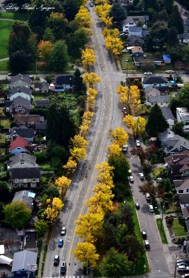 MLK Way Seattle Washington 