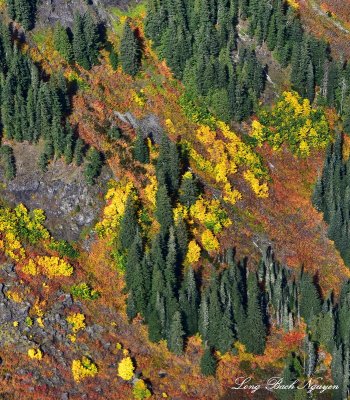 Fall Foliages on Kendal Peak Cascade Mountains  