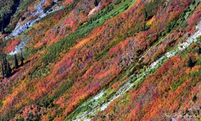 Fall Colors on Alaska Mountain Cascade Mountains Washington 