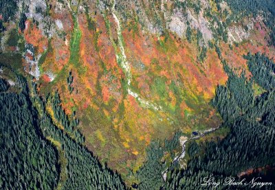 Fall Colors on Alaska Mountain Gold Creek Cascade Mountains Washington  