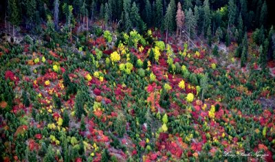 Fall Colors Eastern Washington  