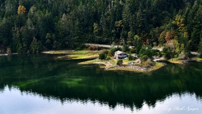 Early Sign of Fall in Hood Canal Lilliwaup 