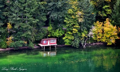 Little Red Cabin Hood Canal Washington  