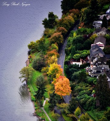 Fall on Lake Washington Bld Seattle Washington  