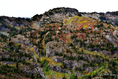 Fall Foliages on Rampart Lakes Rampart Ridge Cascade Mountains 